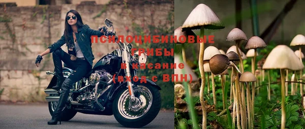 spice Алзамай