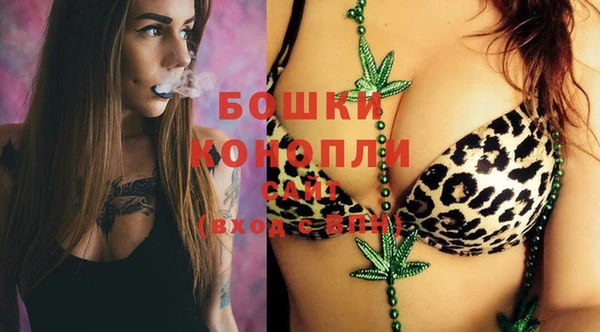 прущий лед Абаза