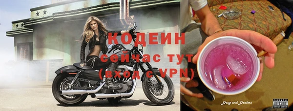 прущий лед Абаза